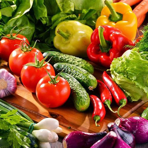 新鲜有机蔬菜多少钱 河南新鲜有机蔬菜 紫丰农产品